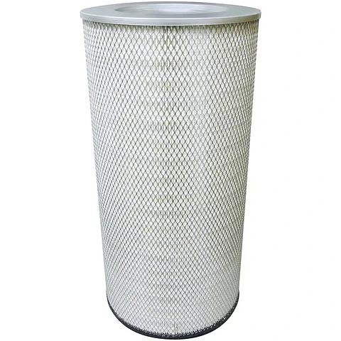 PA2902 Filtro Baldwin