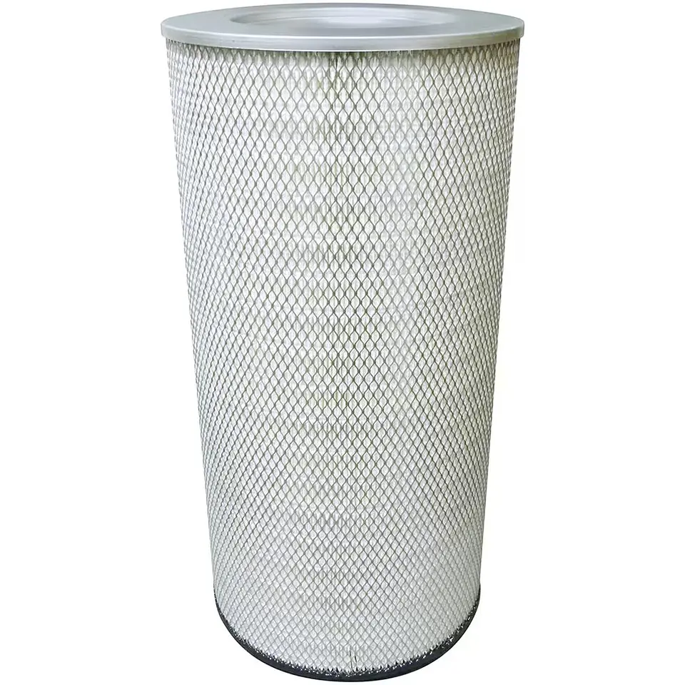 PA2902 Filtro Baldwin 1