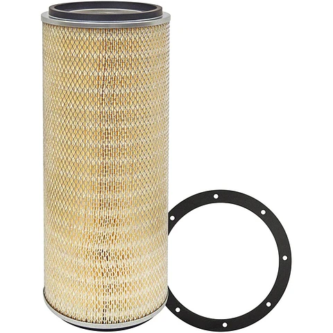 PA2482 Filtro Baldwin