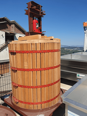 Prensa Hidraulica P/Vinho 50T C/Elevador