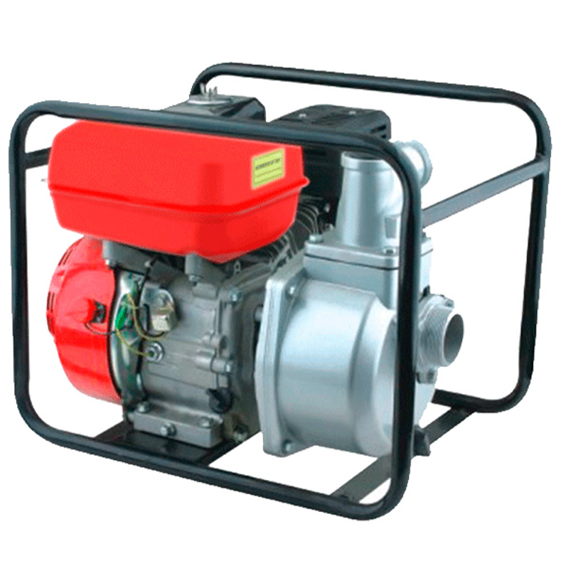 Motobomba 4T 5,5cv SPORT GARDEN 1