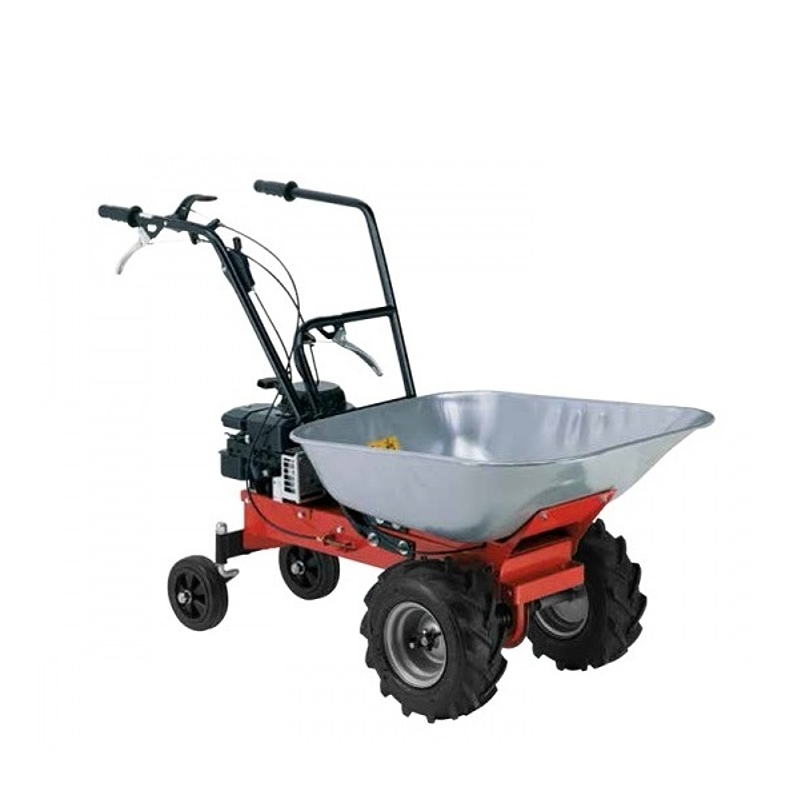 Minitransportador EUROSYSTEMS 1