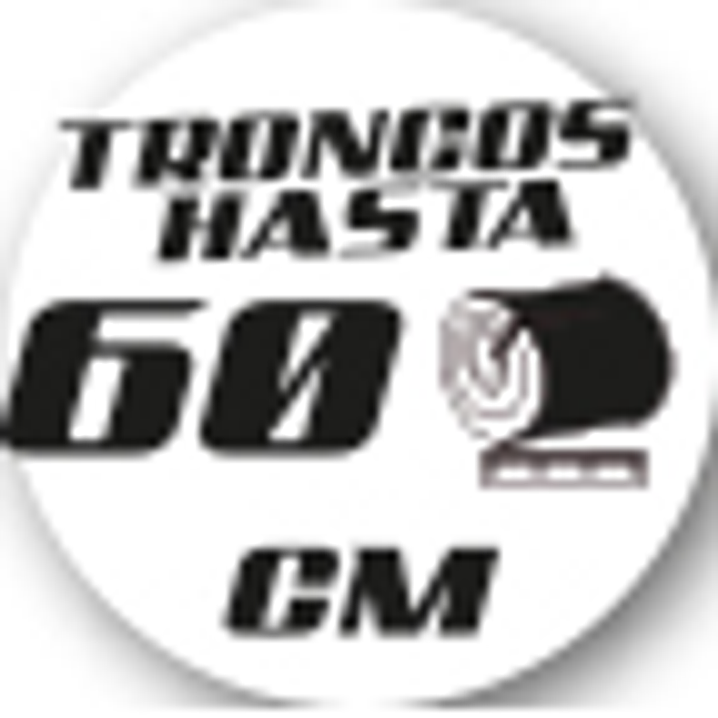 Rachador Lenha Zeppelin 22 Ton 2