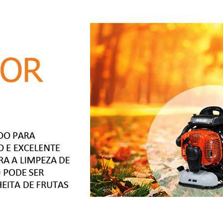 Soprador Dorsal Oleo Mac BV 901 5