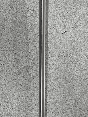 Pistola Corte Rápido 60 cm Rocha