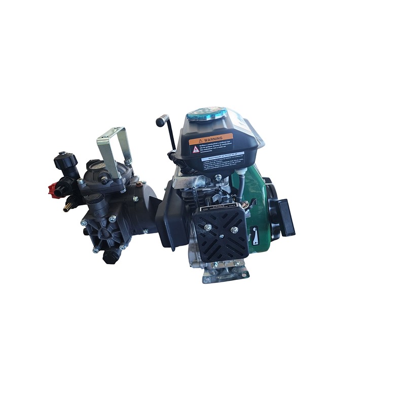 Grupo Pulverização 4T 2,5CV AR202 4