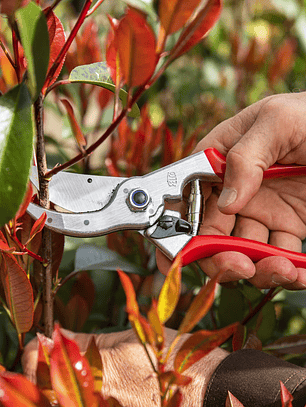 Tesoura de Poda Felco 4