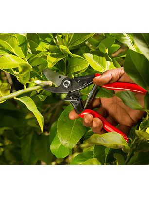 Tesoura de Poda Felco 5