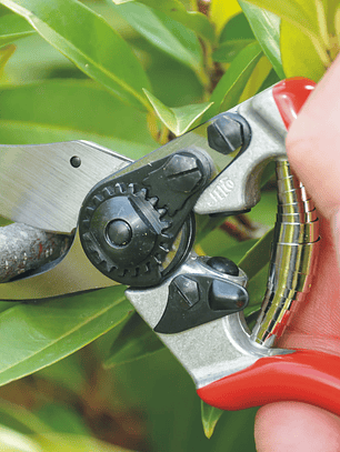 Tesoura de Poda Felco 6