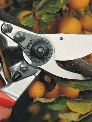 Tesoura de Poda Felco 9 - Mão Esquerda