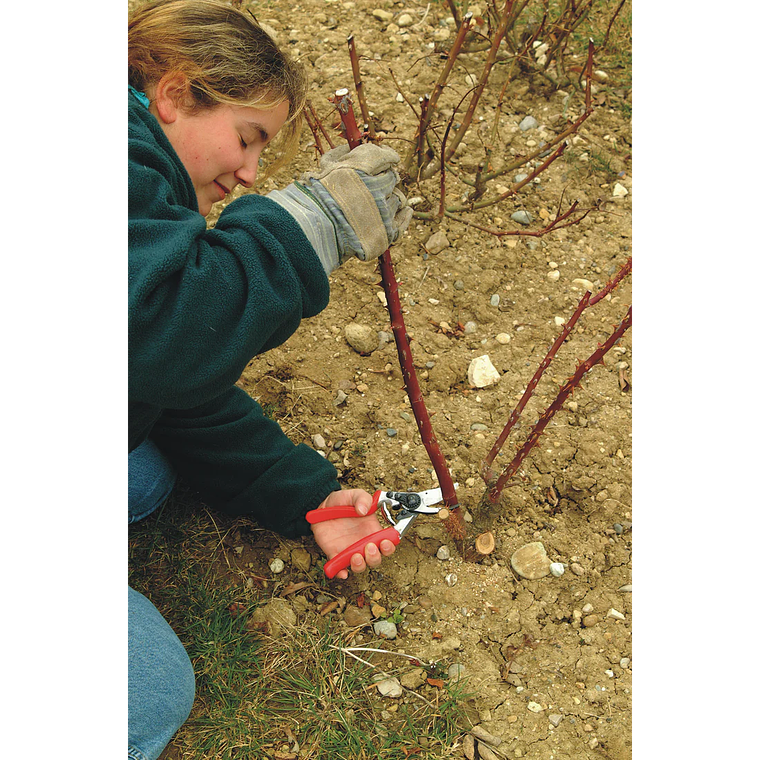 Tesoura de Poda Felco 10 - Mão Esquerda 3