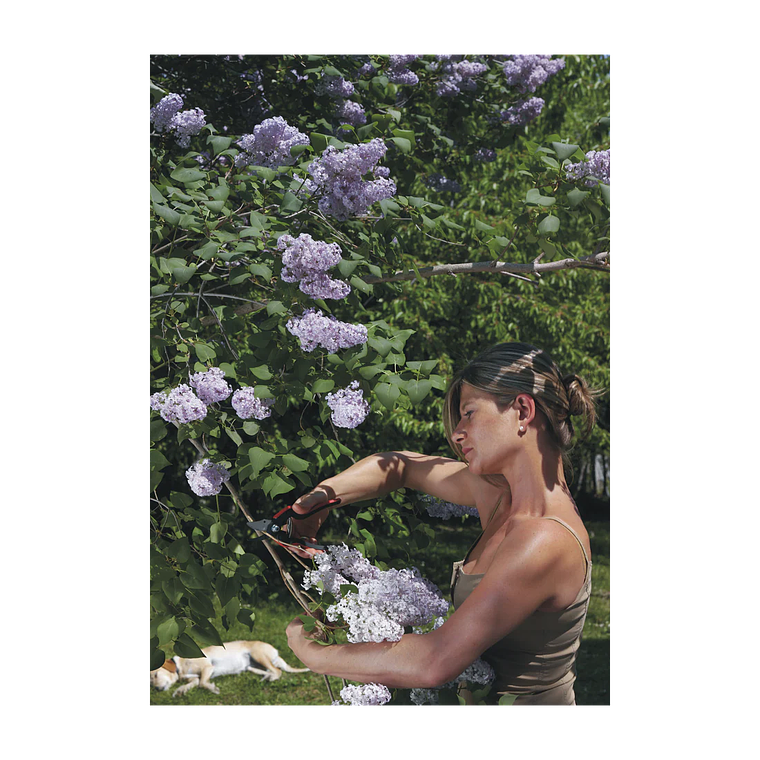 Tesoura de Poda Felco 160S 2