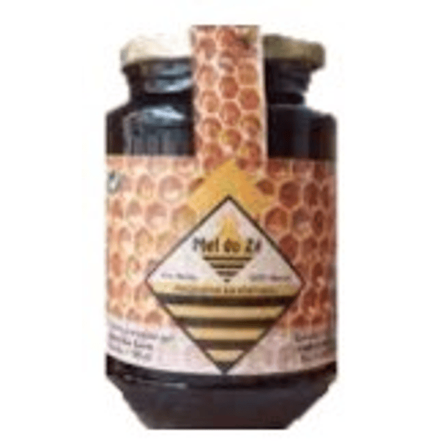 Homemade Melgaço Honey 500g