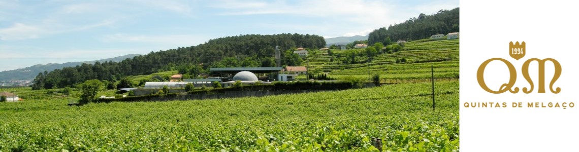 Quintas de Melgaço