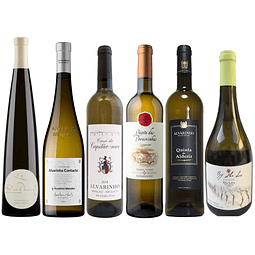 Conjunto Alvarinho Monção