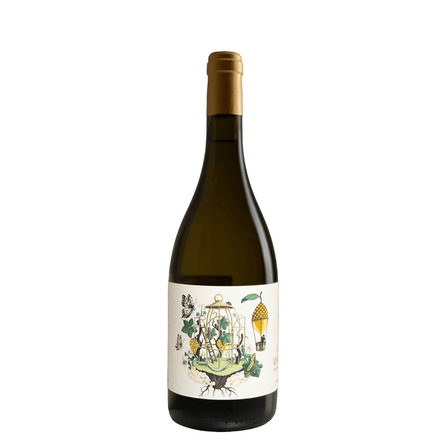 Cortinha Velha Alvarinho Reserva 2022 Vinho Verde Branco 75cl