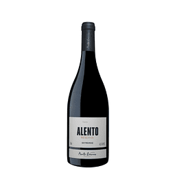 Alento Reserva Magnum 2020 Alentejo Tinto 1,5L