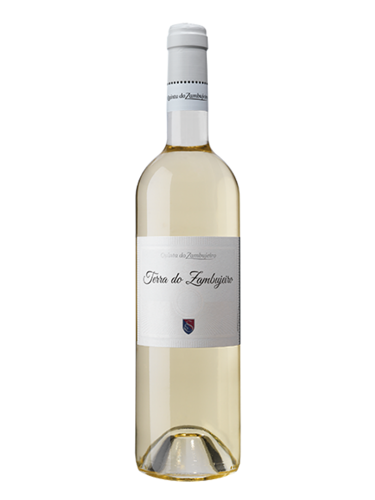 Terra do Zambujeiro 2021 Alentejo Blanco 75cl 1