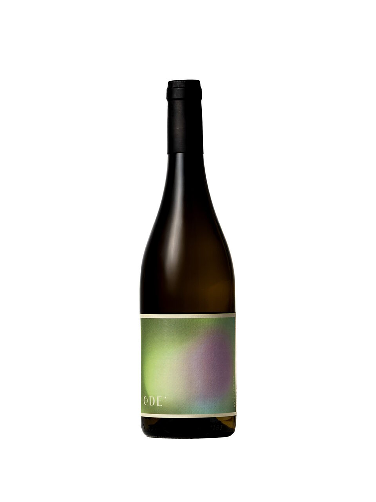 Ode Winery Alvarinho 2023 Tejo Branco 75cl 1