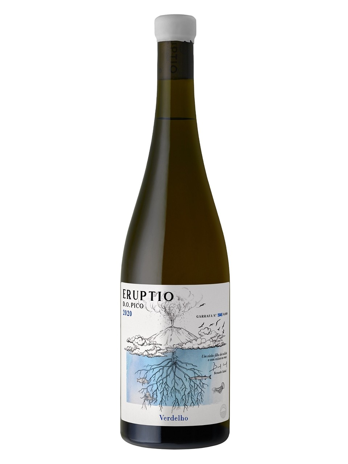 Eruptio Verdelho 2021 Açores Branco 75cl 1