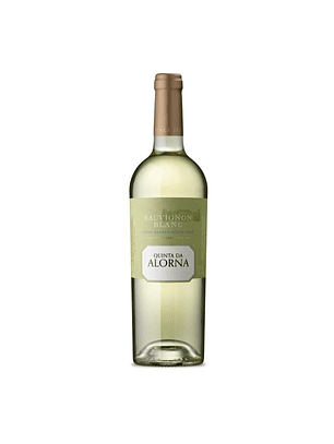 Quinta da Alorna Sauvignon Blanc 2023 Tejo Branco 75cl