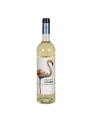 Herdade de Gâmbia 2023 Setúbal Branco 75cl