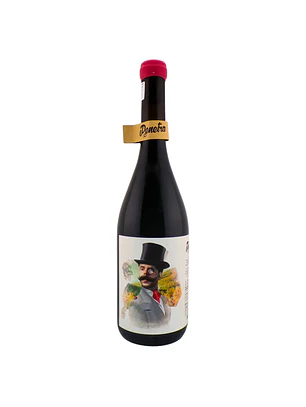 Penetra Castelão 2022 Lisboa Tinto 75cl