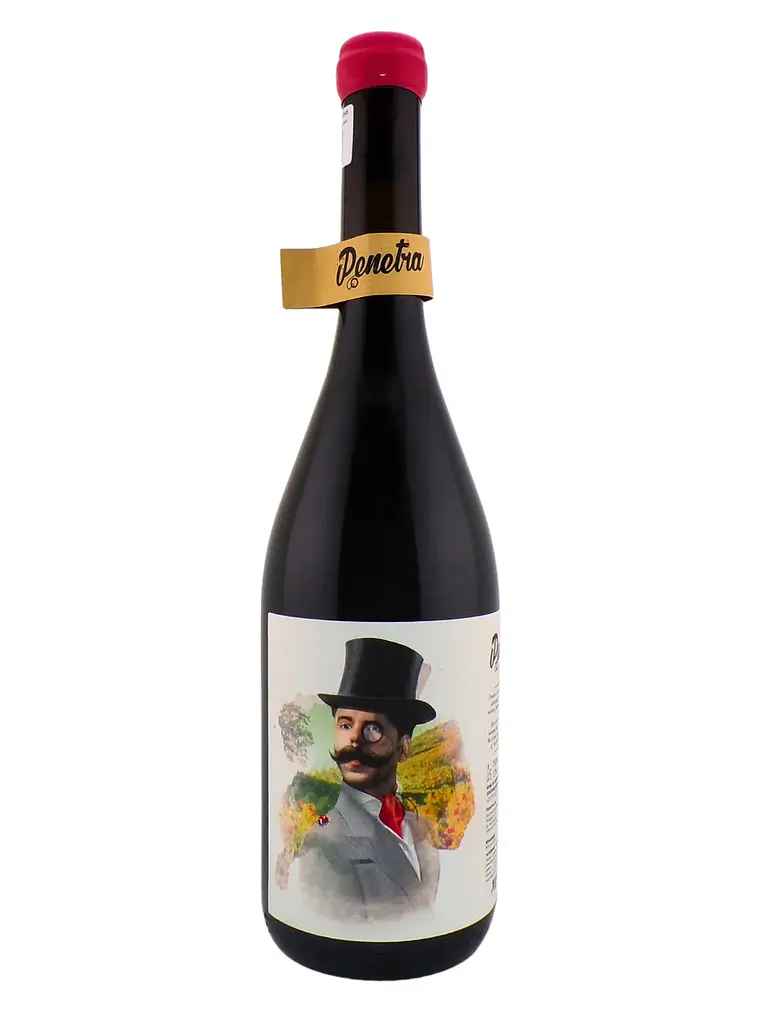 Penetra Castelão 2022 Lisboa Tinto 75cl 1