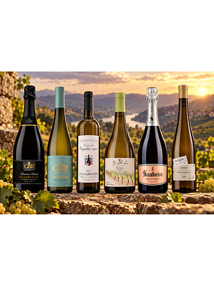 Outono em Monção e Melgaço | 6 Vinhos