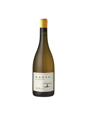 Justino's Projects Fanal Folgasão Ponta do Pargo 2023 Madeira Branco 75cl