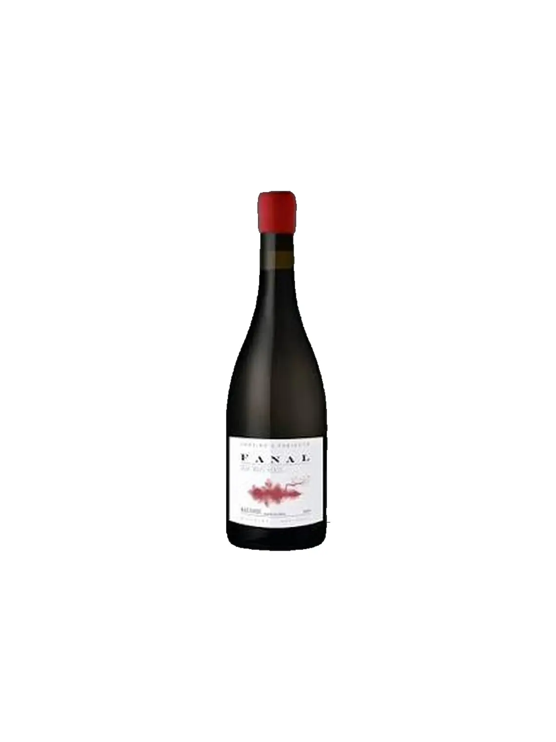 Justino's Projects Fanal Bastardo Estreito da Calheta 2024 Madeira Tinto 75cl 1