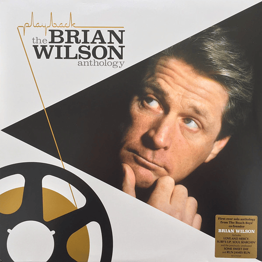 Brian Wilson Playback - The Brian Wilson Anthology (2 LPs)