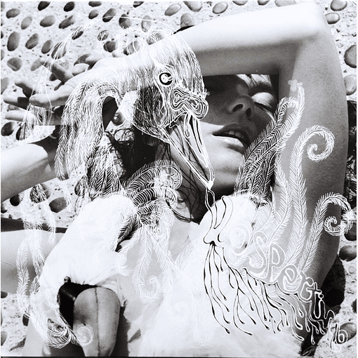 Bjork - Vespertine (2 LPs)