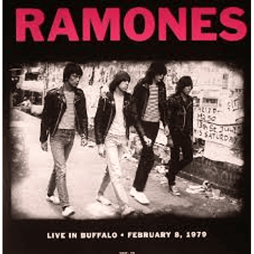 Ramones - Live in Buffalo. February 8, 1979