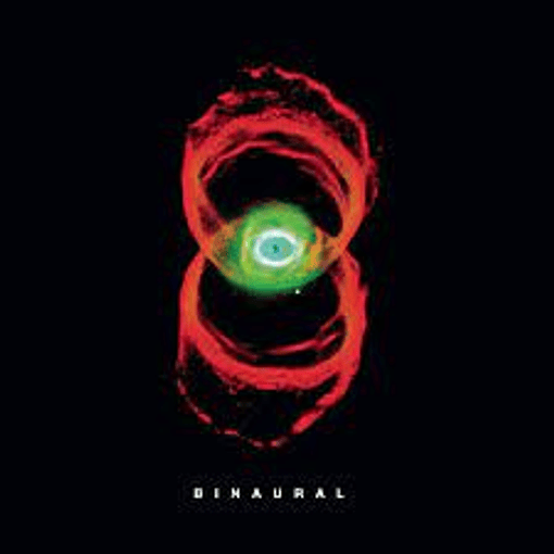 Pearl Jam - Binaural (2 LPs)
