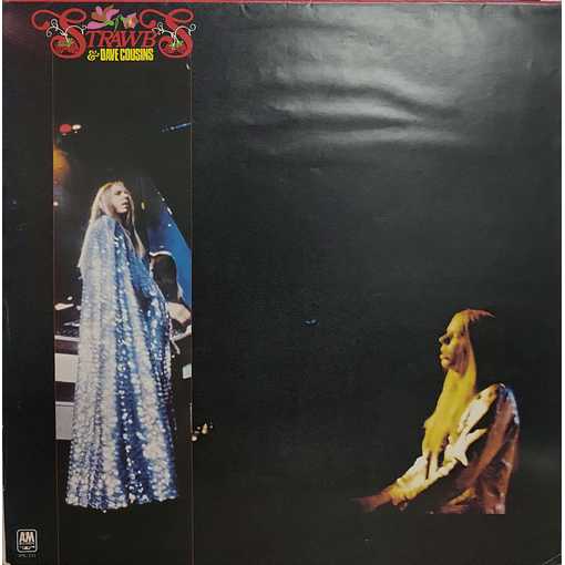 Strawbs & Dave Cousins - Strawbs & Dave Cousins