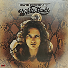 Davi Coverdale - White Snake 1