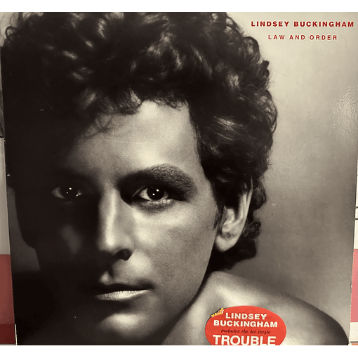 Lindsay Buckingham - Law And Order