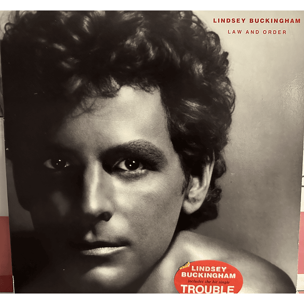 Lindsay Buckingham - Law And Order 1