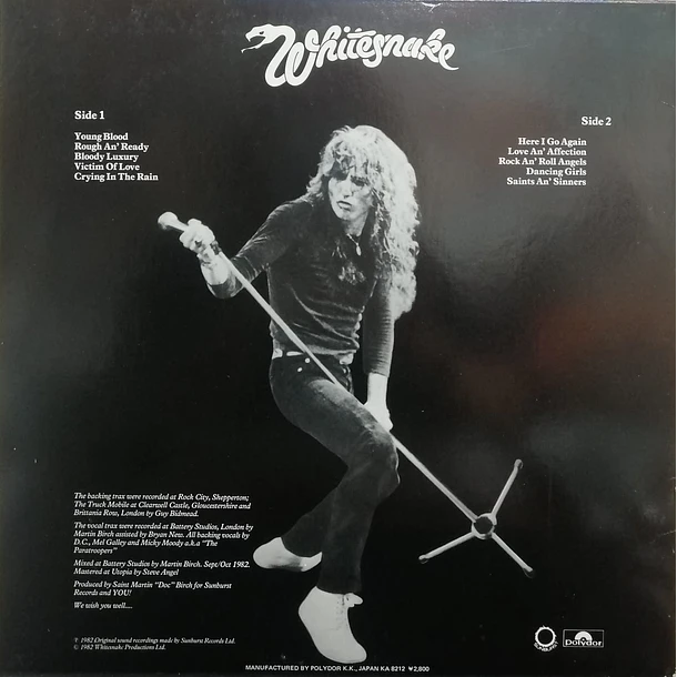 Whitesnake - Saints & Sinners 3
