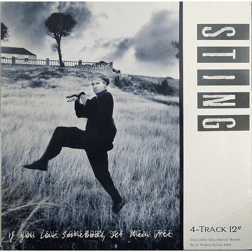 Sting - If You Love Somebody Set Theem Free
