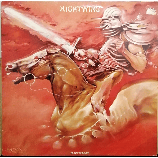 Nightwing - Black Summeru