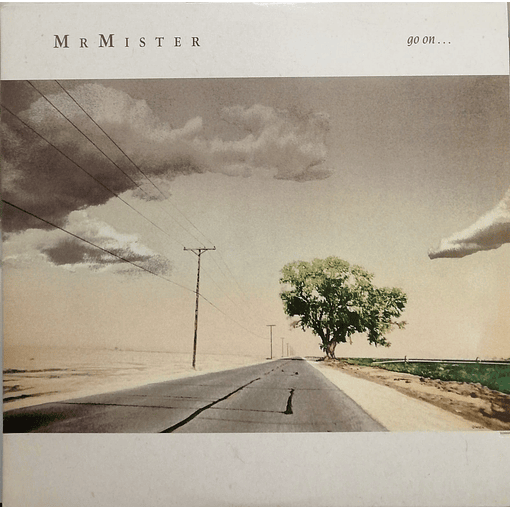 Mr. Mister - Go On...