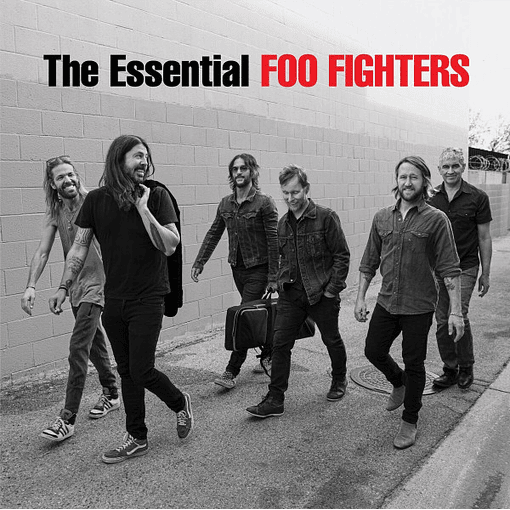 Foo Fighters - The Essential Foo Fighters (2 LPs)