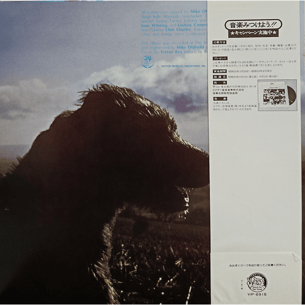 Mike Oldfield - Hergest Ridge 2