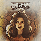 David Coverdale - Whitesnake (1977) 1