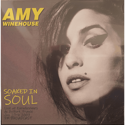 Amy Winehouse - Soaked In Soul