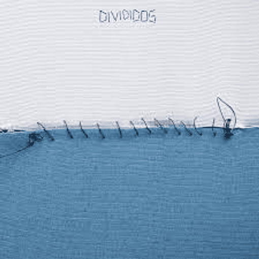 Divididos - Divididos (2 LP's)