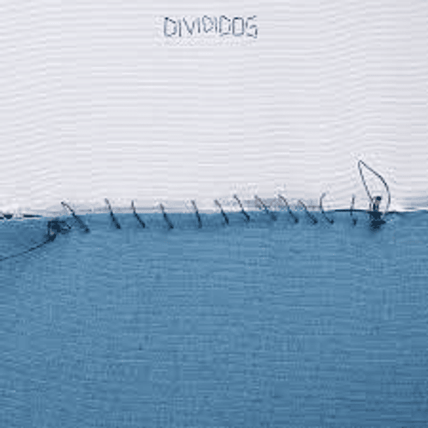 Divididos - Divididos (2 LP's)