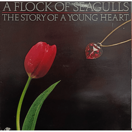 A Flock Of Seagulls - A Story Of A Young Heart